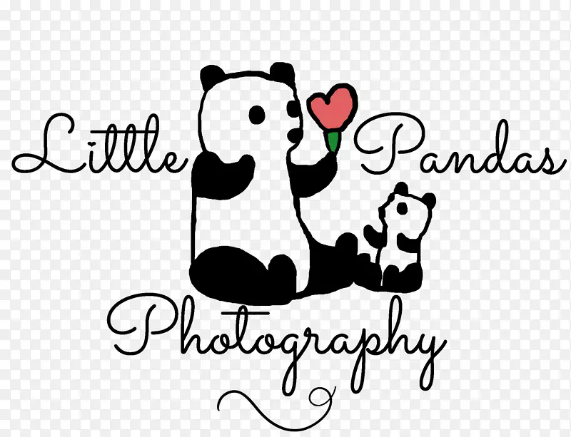 标志小熊猫摄影熊大熊猫-熊