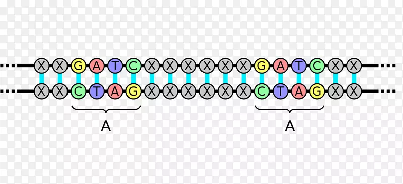 产品设计线车身首饰字体角线