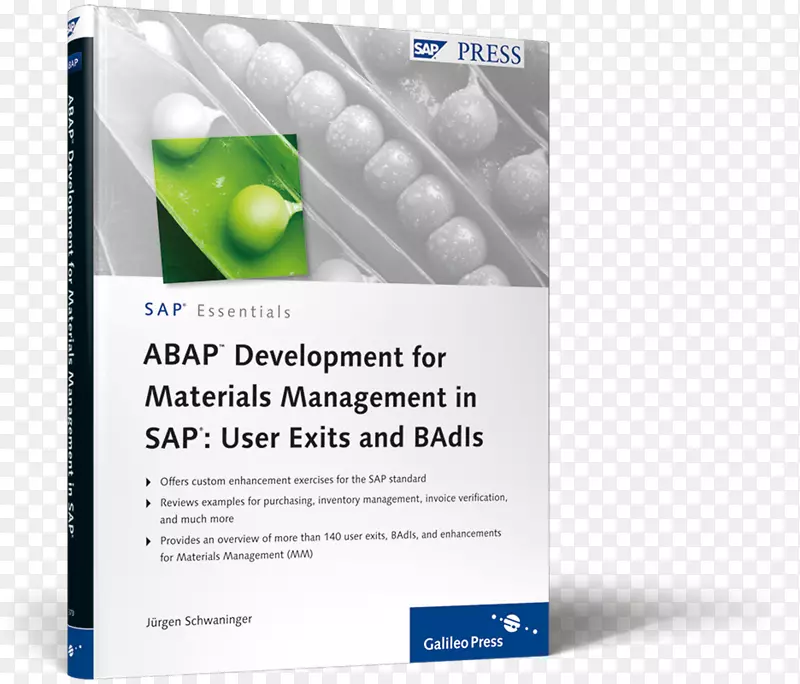 为SAP Hana，SAP ERP，ABAP，Text，软件PNG开发ABAP