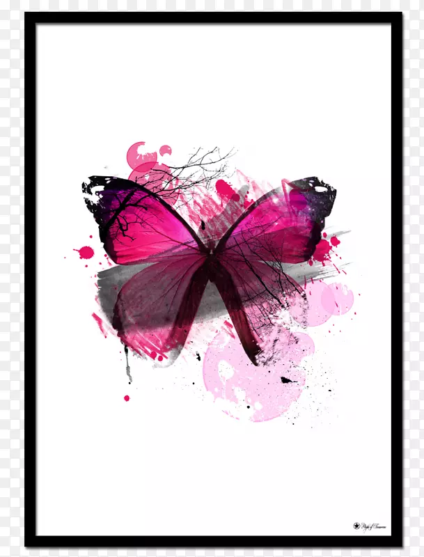 毛茸茸的蝴蝶海报蝴蝶插图艺术-蝴蝶