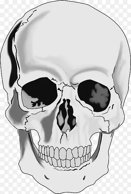 剪贴画头骨png图片人体骨骼绘制头骨怪物