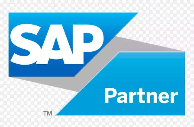 徽标组织sap se BusinessObjects计算机图标-sap徽标