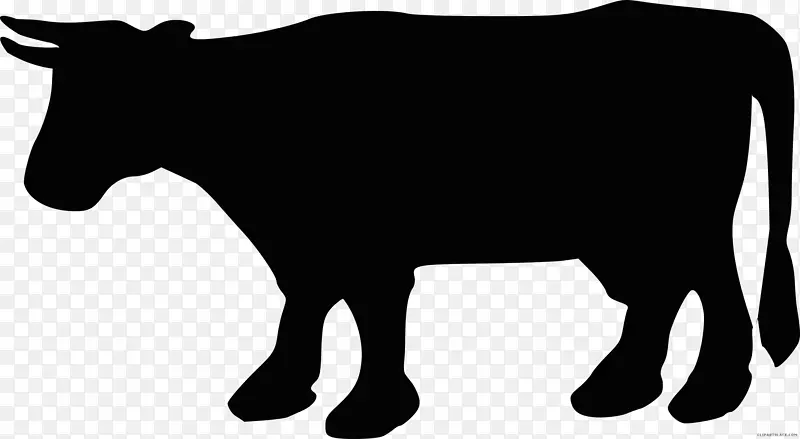 安格斯牛，肉牛，夏洛莱牛，赫里福德牛，黑白牛