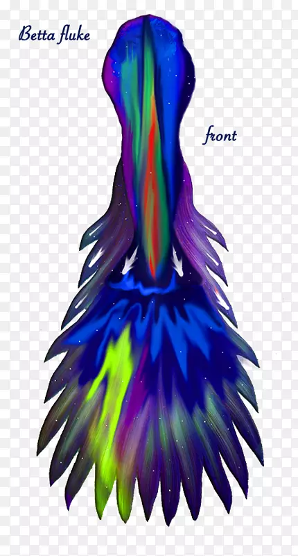 服装设计羽毛喙舞-北极光