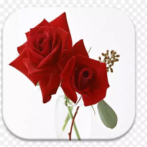 玫瑰png图片剪辑艺术花束玫瑰