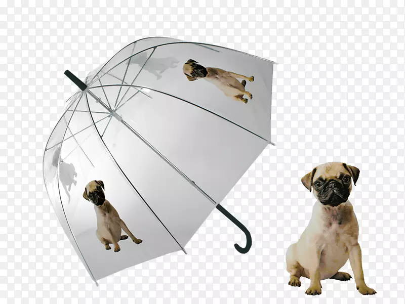 小狗伞罩衣-小狗