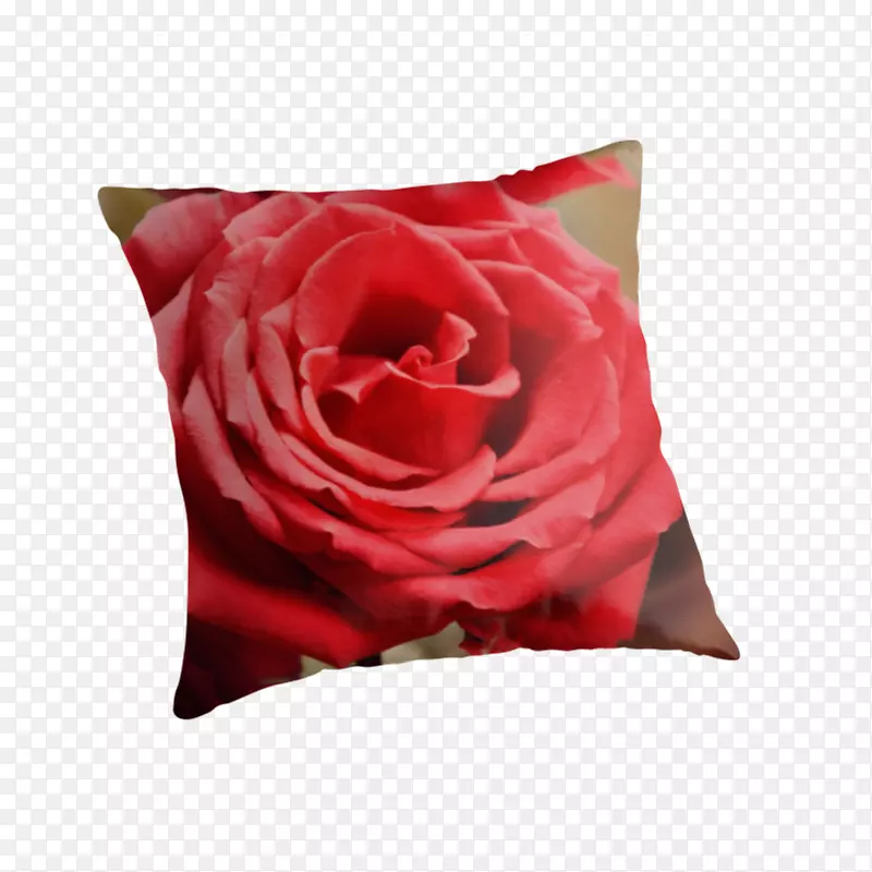 花园玫瑰枕头垫切花玫瑰