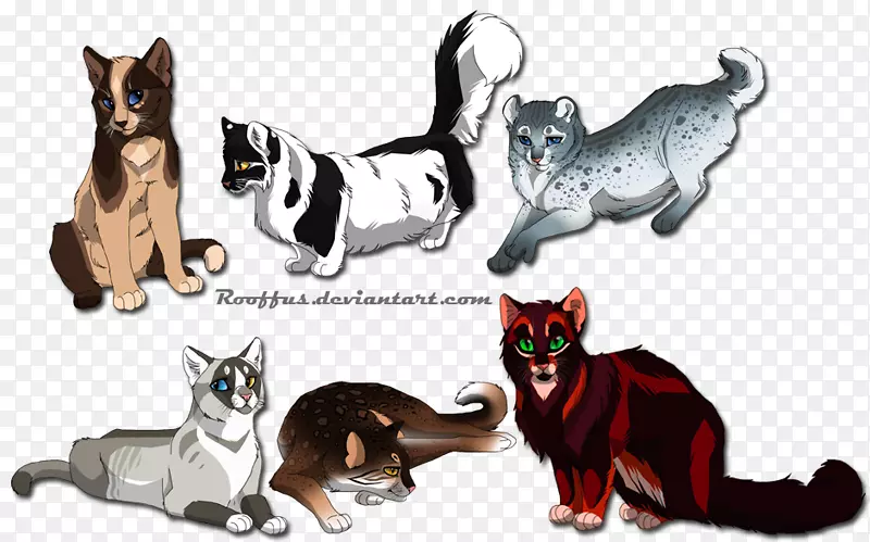 胡须，小猫，狗，养猫，猫和妈妈