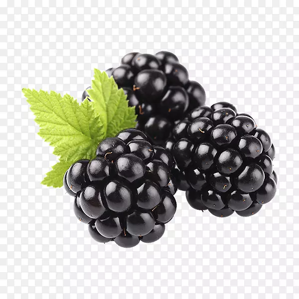 黑莓水果树干食品-黑莓