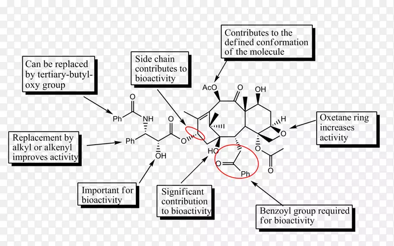 微管蛋白抑制剂结构与活性关系的发现与发展紫杉醇多西紫杉醇无水-澳门特区成立日
