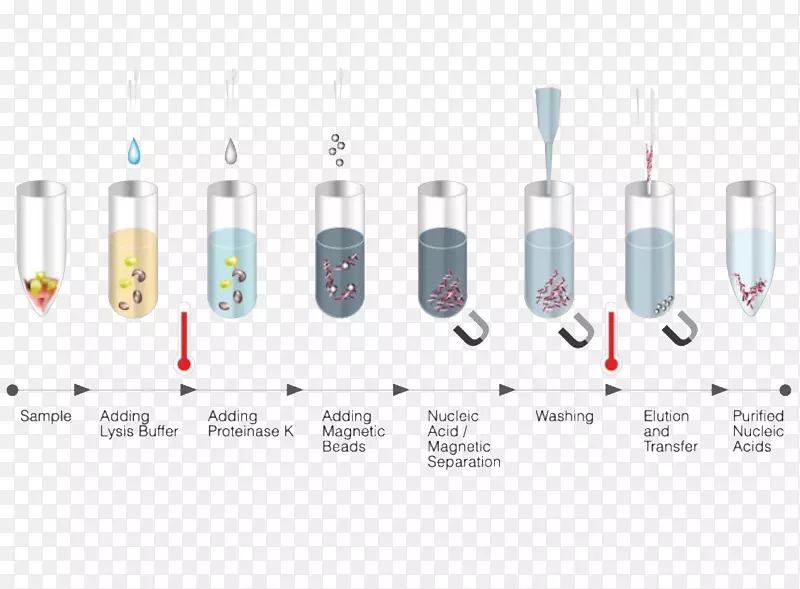 DNA提取核酸RNA纯化