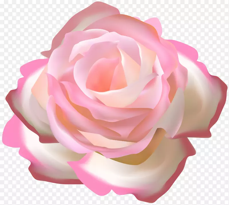 花园玫瑰，剪贴画，花卉装饰，透明，png图片.装饰性花瓣玫瑰