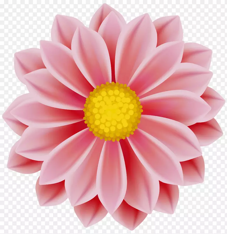 剪贴画图像png图片桌面壁纸粉红色花朵.蔓越莓红