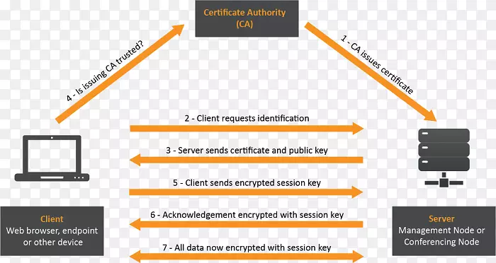 证书颁发机构传输层安全在线证书状态协议公钥证书https授权证书