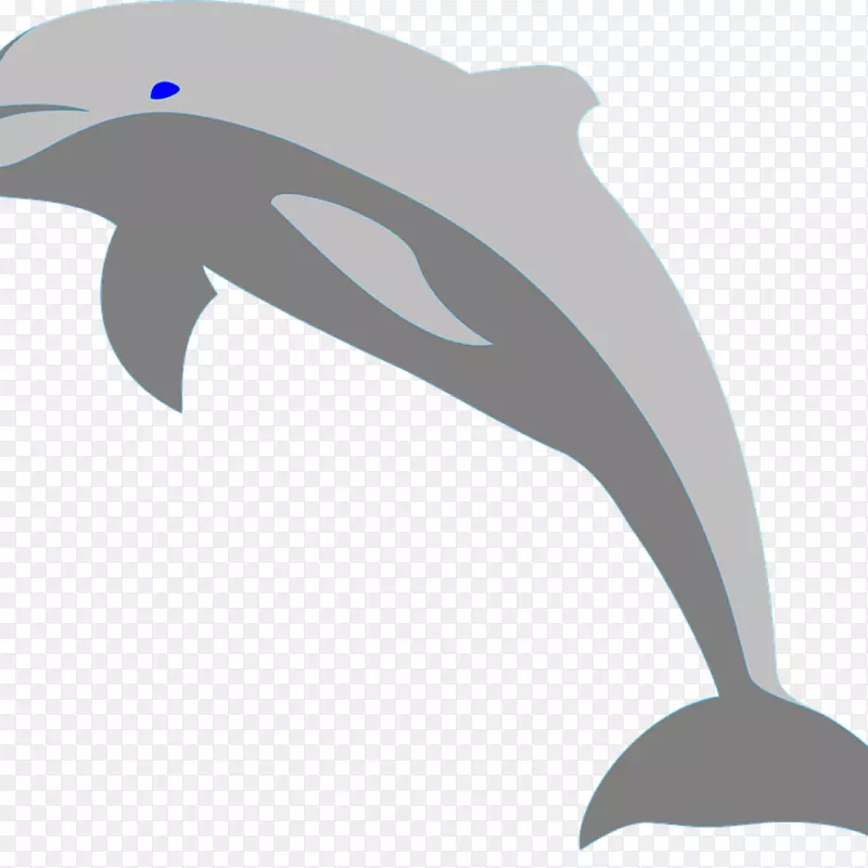 海豚图形剪贴画海洋海豚