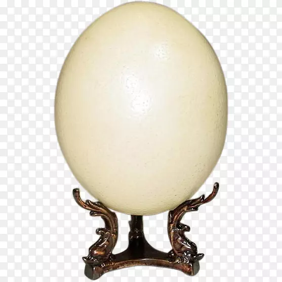 球卵-鸵鸟卵