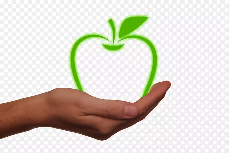 苹果能源自然环境健康麦金托什苹果