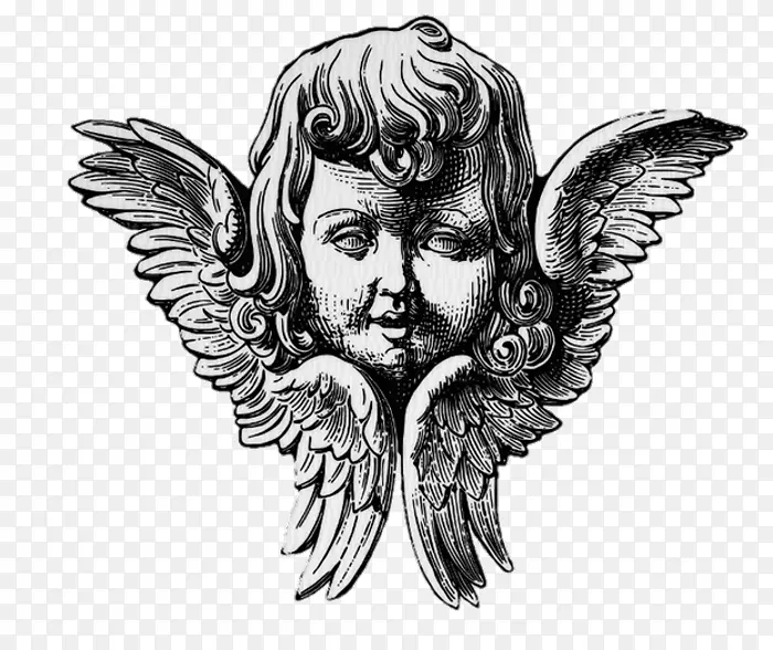 叛逆的天使罗伯逊·戴维斯在骨头中培育出了奥菲斯·安琪尔叛乱者的竖琴-瓦伦丁元素