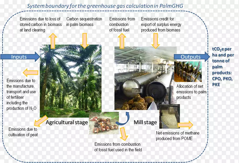 可持续棕榈油可持续性温室气体圆桌会议-农作物