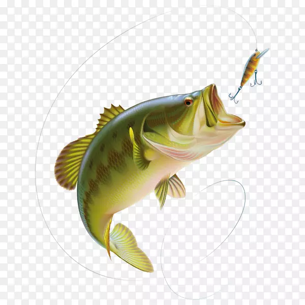 大口鲈鱼钓鱼夹艺术图形.钓鱼