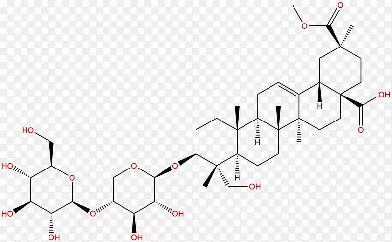 金龟子属裸子植物扁豆象甲