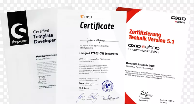 Dataint GmbH-Typo3-Agentur数字营销机构标识网站设计-QM
