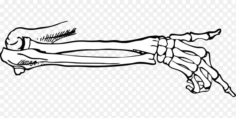 手指骨折EP骨关节肌肉手骨骼