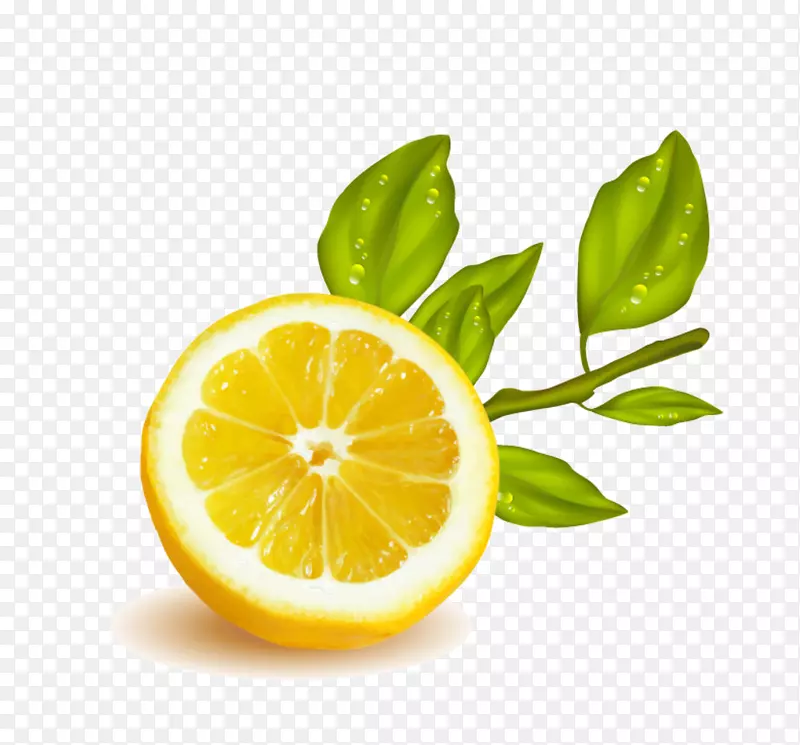 柠檬图形插图水果剪贴画水果广告