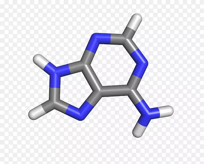 碱基对鸟嘌呤胞嘧啶GC含量化学试剂