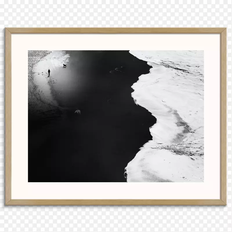 照片500 px相框黑白蒂尔-孤独的鹅