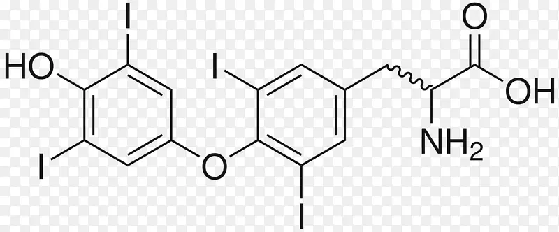 化学复方红霉素药物氨基酸激素分泌