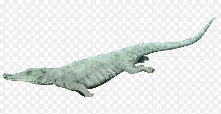 鳄鱼海洋动物群陆生动物水生生物