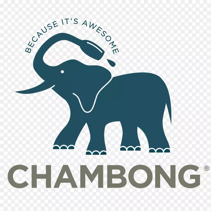 印度象非洲象标志象品牌-大象