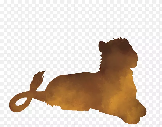 东非狮子猫狮子头兔-狮子的骄傲