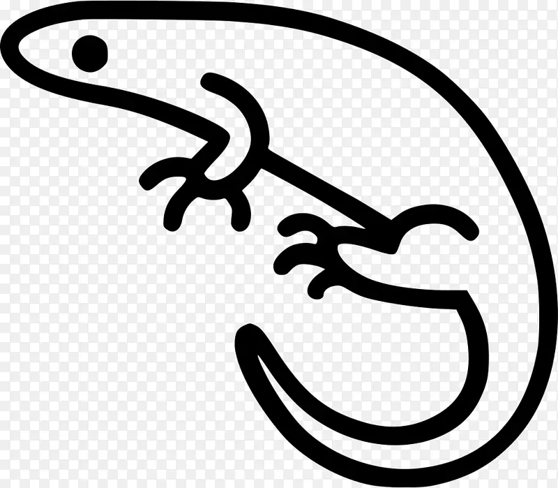 剪贴画名词项目计算机图标水族馆图片-火蜥蜴