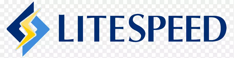 利特斯皮德网络服务器徽标利特斯皮德技术公司。万维网技术速度