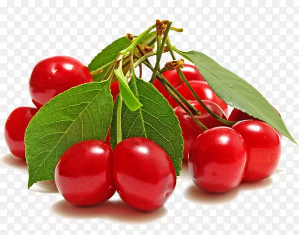 水果樱桃有机食品健康樱桃