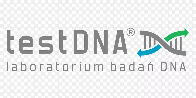 商标产品设计字体DNA测试