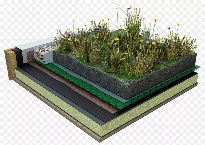 绿色屋顶系统：建筑景观的规划、设计和施工指南