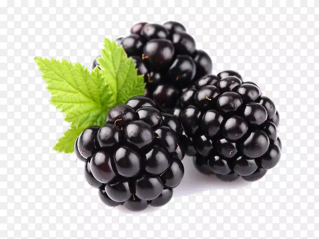 黑莓png图片剪辑艺术水果下载-黑莓