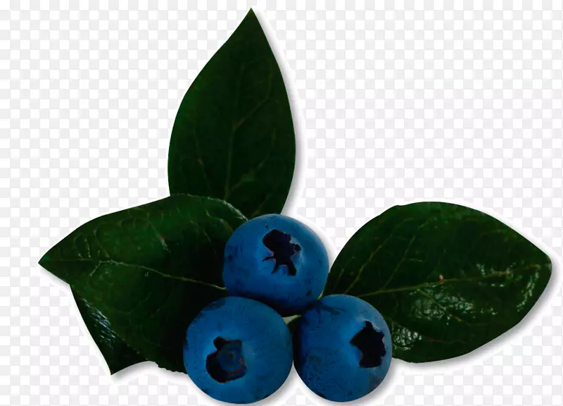 蓝莓制品-蓝莓果