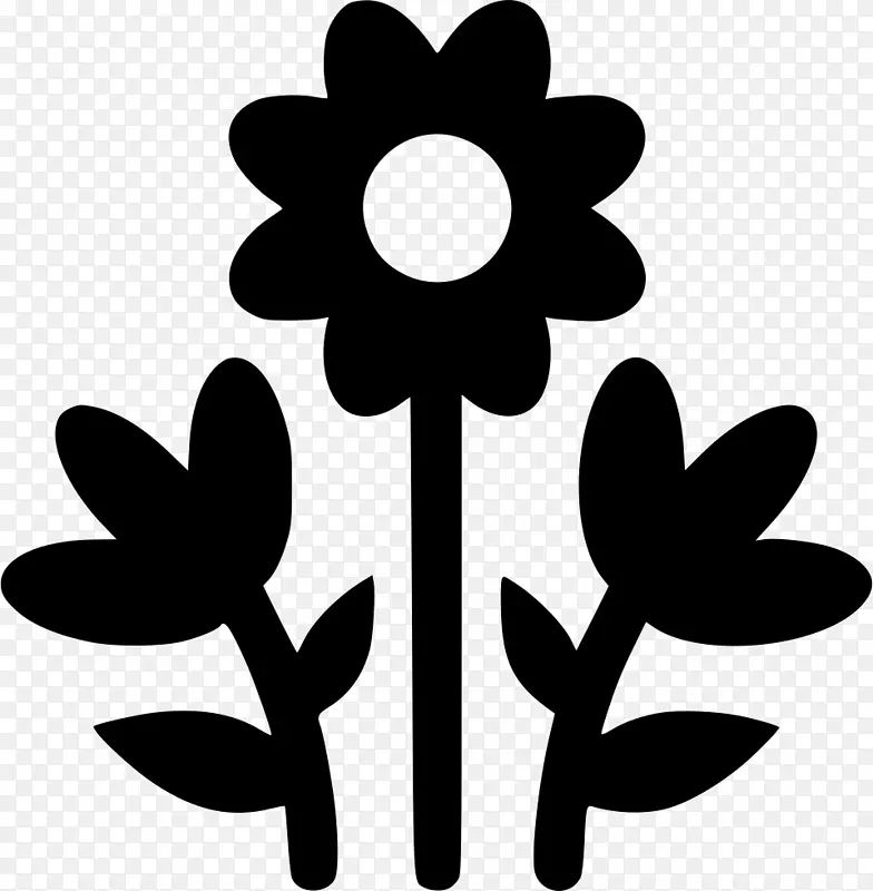 “OGRód Dolina Zielona”服务苗圃-花卉