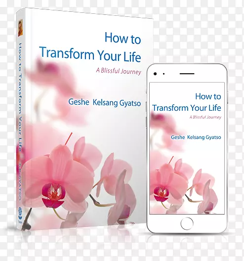 如何改变你的生活：一次幸福的旅程，现代佛教：慈悲和智慧的道路，如何解决我们的人类问题，新的卡丹巴传统-现代小册子