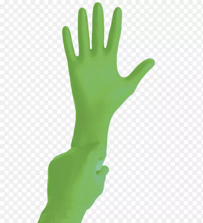 手指头模型医用手套绿色切片​​芦荟
