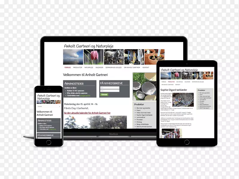 网站capparsa，llc多媒体产品网站设计-网站用户界面设计