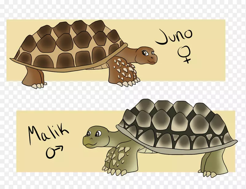龟产品设计池塘海龟动物群.设计
