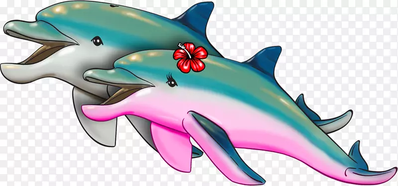 常见宽吻海豚斑点法利安魂利鲨鱼海洋生物-海豚展