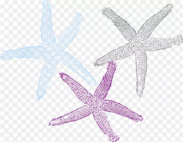 海星剪贴画图片无脊椎动物-夏威夷海报