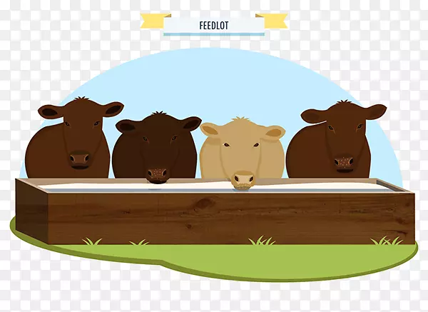 牛动画插图食肉动物-食物信息图表