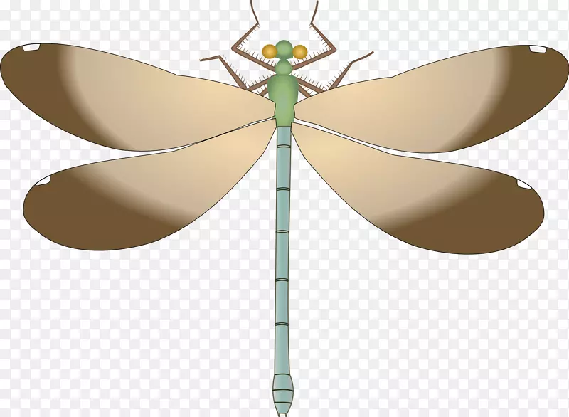 蝴蝶昆虫蜻蜓夹艺术乌木珠宝蝴蝶